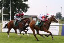Race 5 - Iron Sky (6)