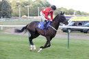 Race 5 - Jack Regan (3)