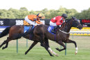 Race 5 - Jack Regan (6)