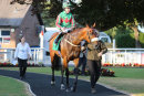 Race 5 - Jackpot Royale (10)