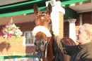 Race 5 - Jackpot Royale (12)