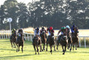 Race 5 - Jackpot Royale (3)
