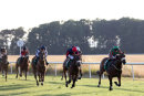 Race 5 - Jackpot Royale (4)