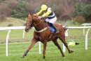 Race 5 - Jam Session (10)