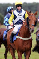 Race 5 - Jam Session (2)
