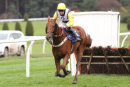 Race 5 - Jam Session (7)