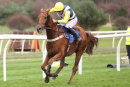 Race 5 - Jam Session (9)