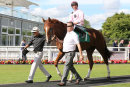 Race 5 - Jeremiah (10)