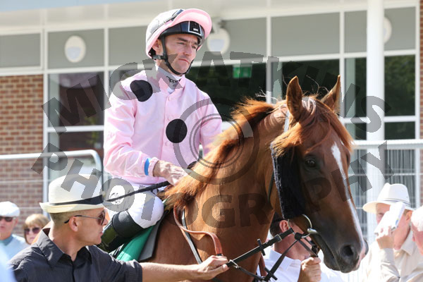 Race 5 - Jeremiah (2)