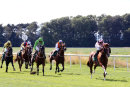 Race 5 - Jeremiah (4)
