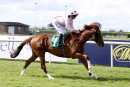 Race 5 - Jeremiah (7)