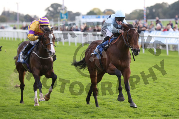 Race 5 - Jonah Jones (1)