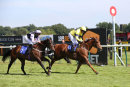 Race 5 - Justanotherbottle (10)