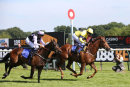 Race 5 - Justanotherbottle (11)