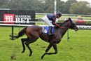 Race 5 - Laafy (11)