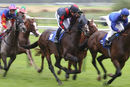 Race 5 - Laafy (1)