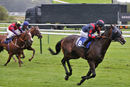 Race 5 - Laafy (6)