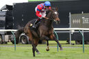 Race 5 - Land Of Winter (6)