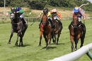 Race 5 - Latin Five (3)