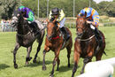 Race 5 - Latin Five (5)
