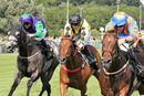 Race 5 - Latin Five (6)
