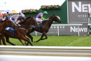 Race 5 - Le Maitre Chat (4)