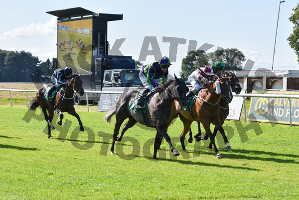Race 5 - Le Manege Enchante (10)