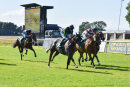 Race 5 - Le Manege Enchante (10)