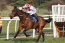 Race 5 - Lets Get At It (5)