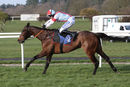 Race 5 - Lets Get At It (8)