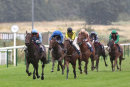 Race 5 - Lexington Sky (3)
