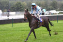 Race 5 - Lexington Sky (8)