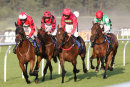 Race 5 - Little Pop (4)