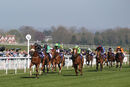 Race 5 - Love Your Work (2)