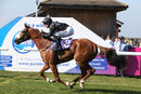 Race 5 - Love Your Work (6)