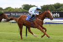 Race 5 - Luckys Dream (3)