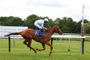Race 5 - Luckys Dream (5)