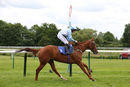 Race 5 - Luckys Dream (6)