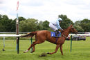 Race 5 - Luckys Dream (7)