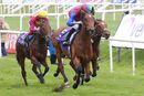Race 5 - Luxembourg (9)
