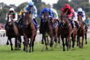 Race 5 - Magic Circle (18)