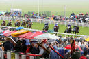 Race 5 - Magical Max (2)
