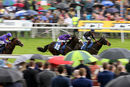 Race 5 - Magical Max (3)