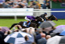 Race 5 - Magical Max (5)