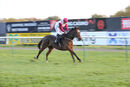 Race 5 - Main Fact (10)