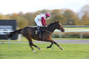 Race 5 - Main Fact (15)
