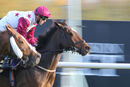 Race 5 - Main Fact (3)