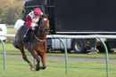Race 5 - Main Fact (5)