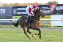 Race 5 - Main Fact (9)