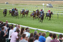 Race 5 - Make Good (5)